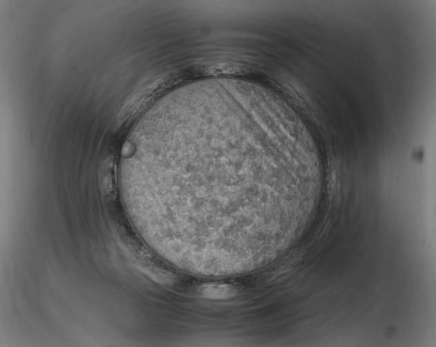 X0000116460169200912231408