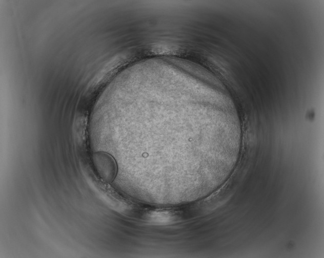 X0000116460171200912231408