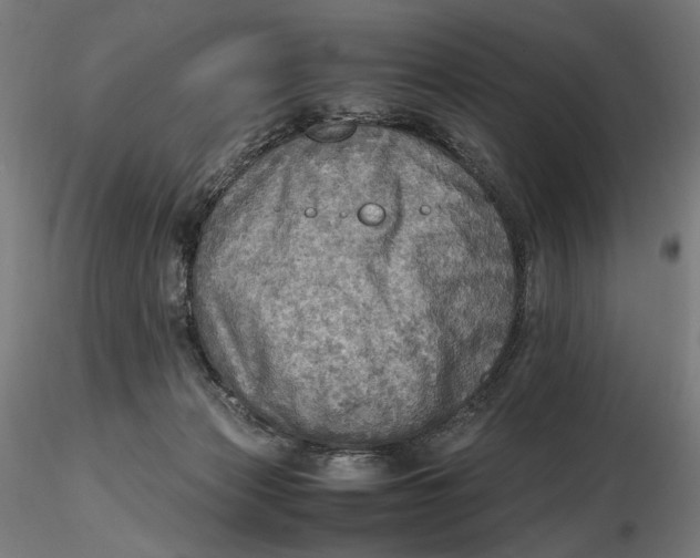 X0000116460173200912231408