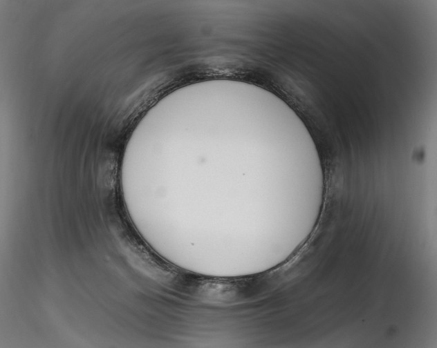 X0000116460174200912231408