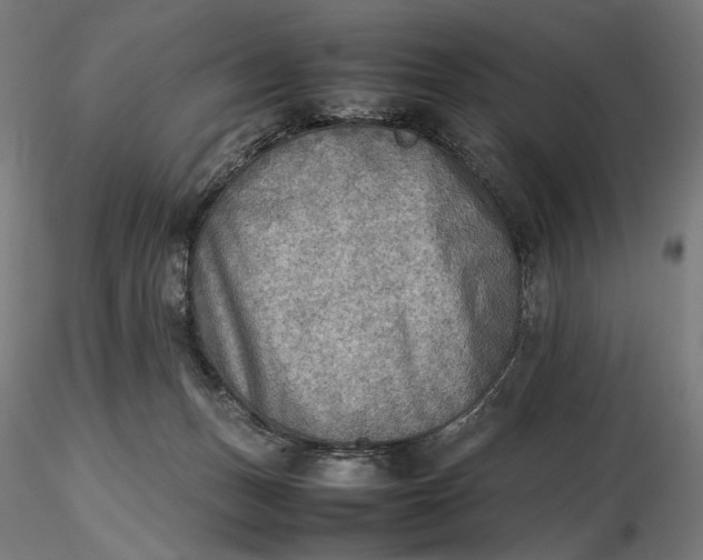 X0000116460175200912231408