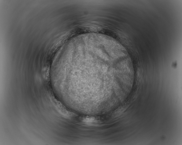 X0000116460177200912231408