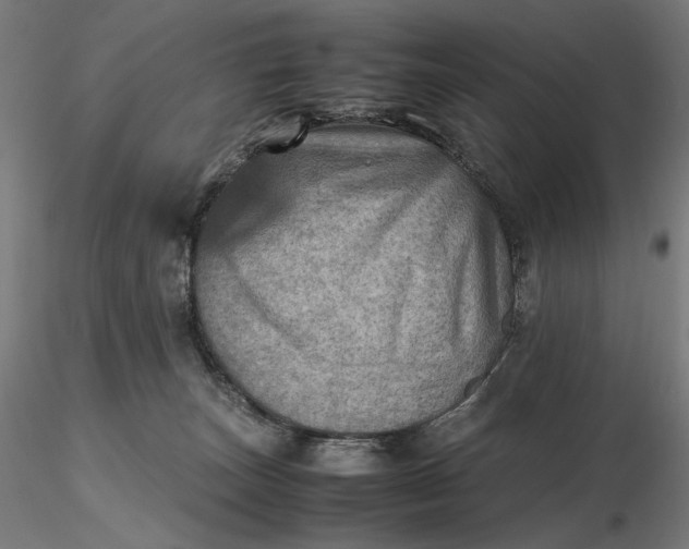 X0000116460179200912231408