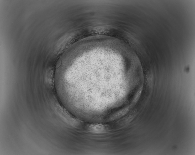 X0000116460181200912231408