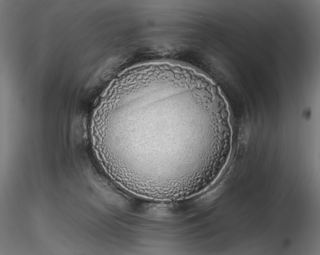 X0000116460182200912231408