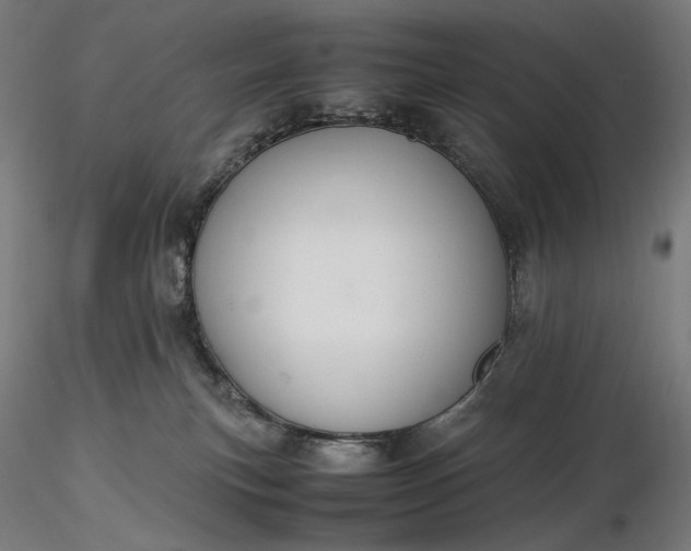 X0000116460183200912231408