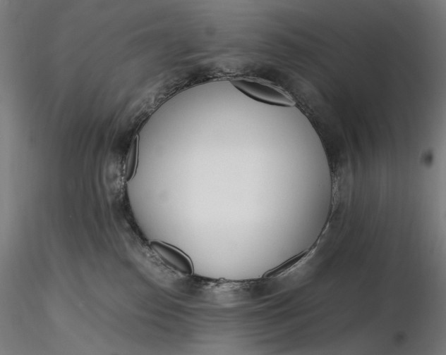 X0000116460186200912231408