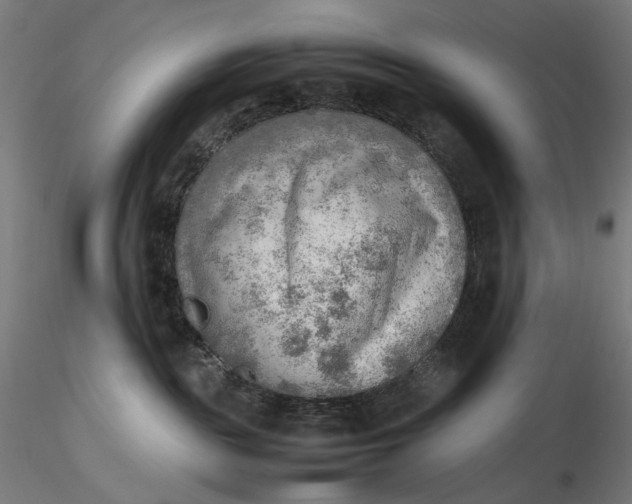 X0000116460189200912231408