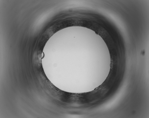 X0000116460190200912231408