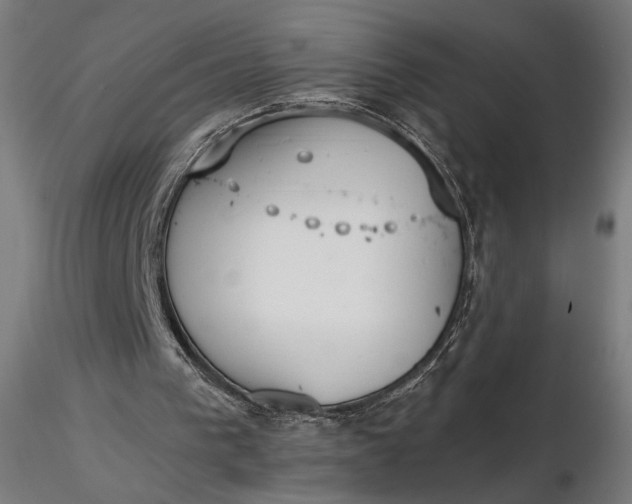 X0000116460193200912231408