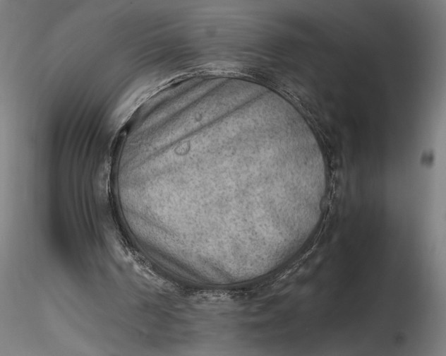 X0000116460194200912231408