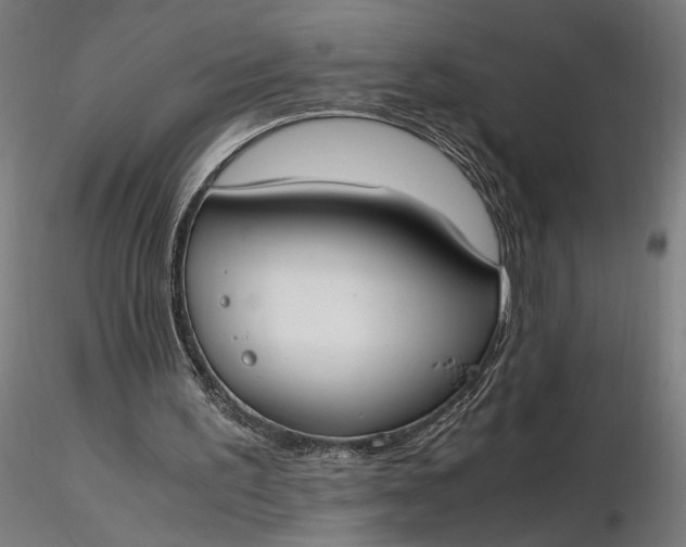 X0000116460195200912231408