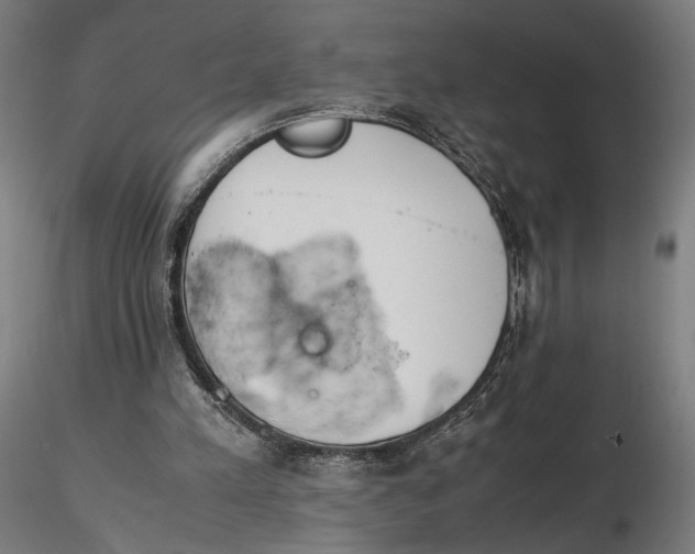 X0000116460197200912231408