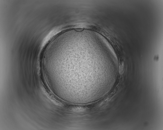 X0000116460198200912231408