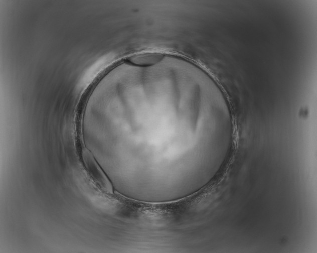 X0000116460199200912231408