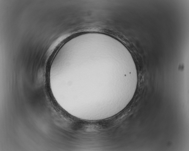 X0000116460200200912231408