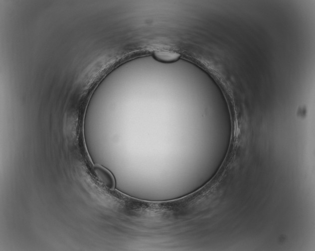 X0000116460201200912231408