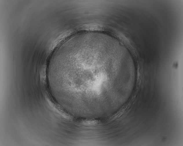 X0000116460202200912231408