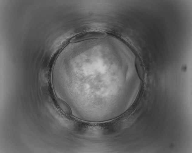 X0000116460203200912231408