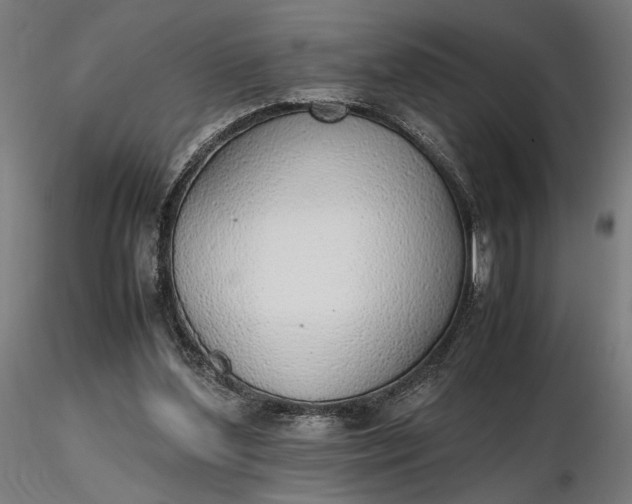 X0000116460204200912231408