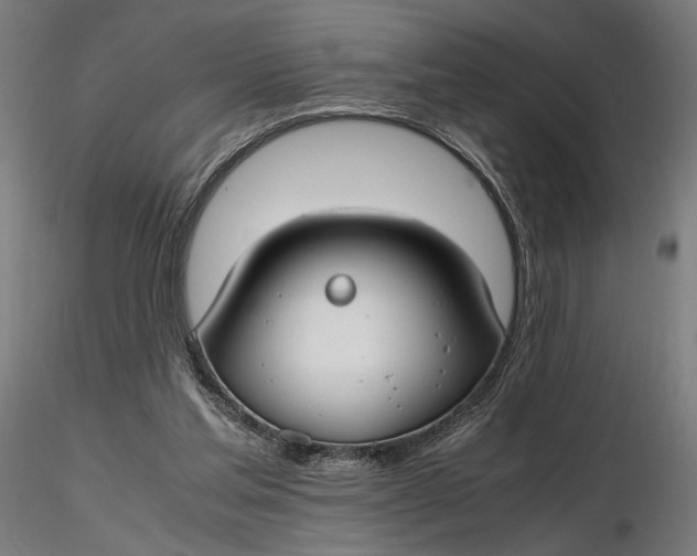 X0000116460205200912231408