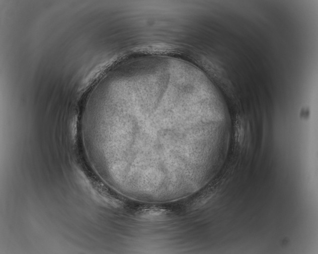 X0000116460206200912231408