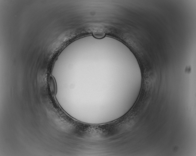 X0000116460207200912231408