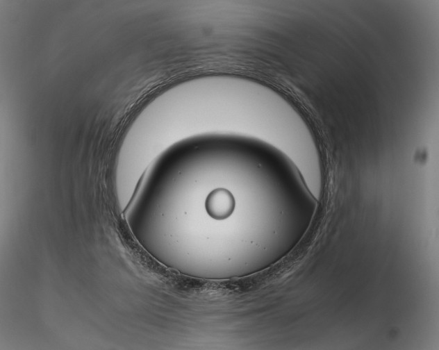 X0000116460209200912231408