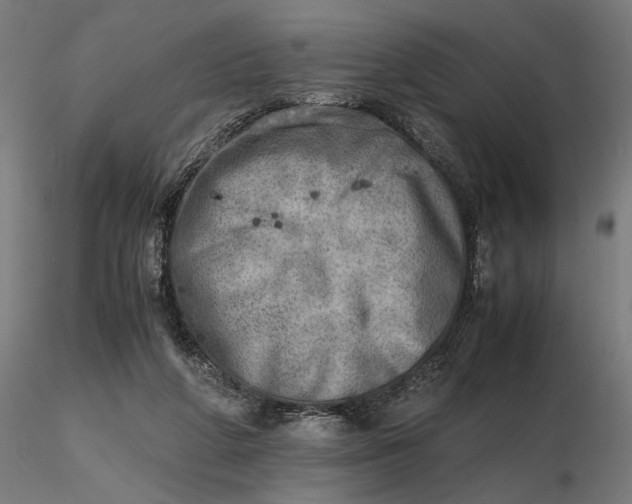 X0000116460210200912231408