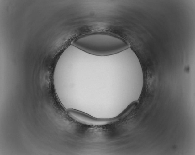 X0000116460211200912231408