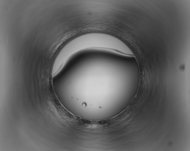 X0000116460212200912231408