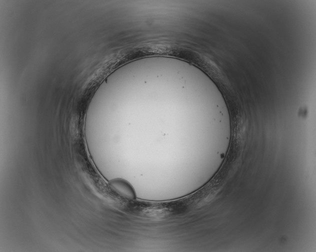 X0000116460213200912231408