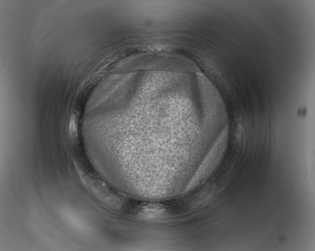 X0000116460214200912231408