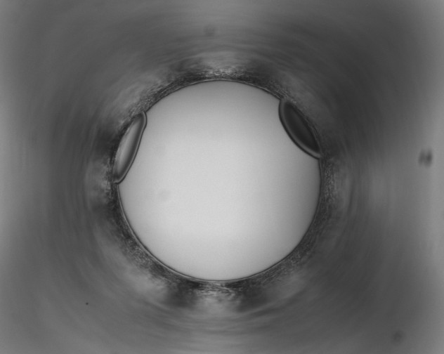 X0000116460215200912231408