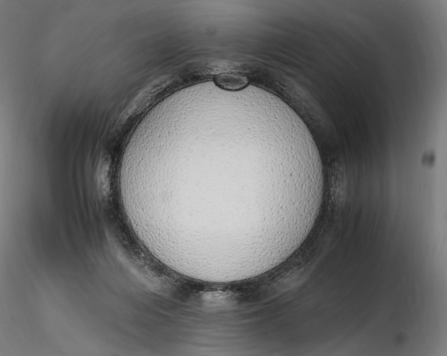 X0000116460216200912231408