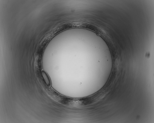 X0000116460217200912231408