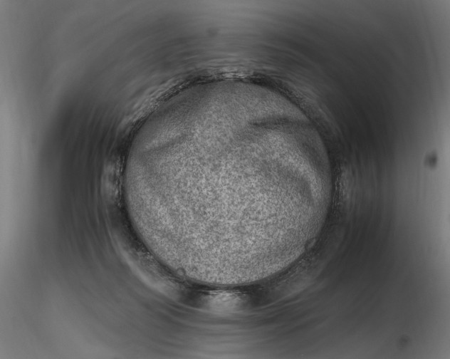 X0000116460218200912231408