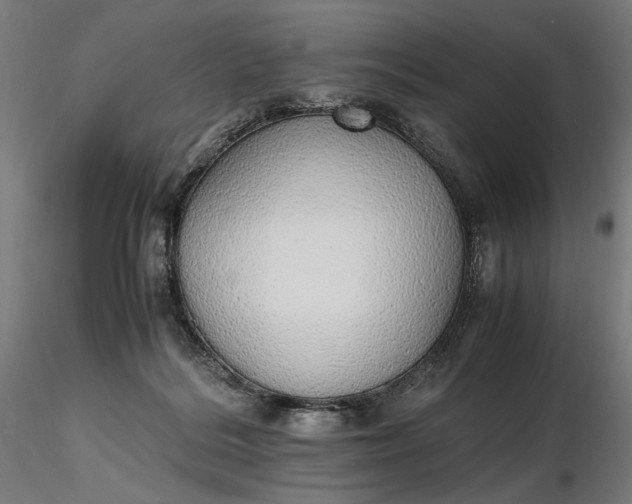 X0000116460220200912231407