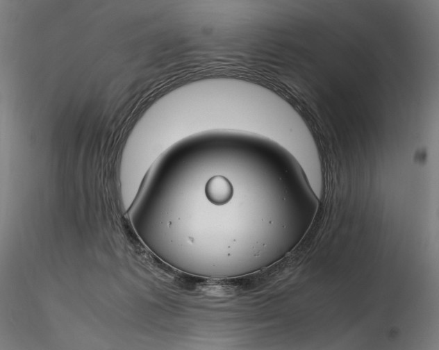 X0000116460221200912231407