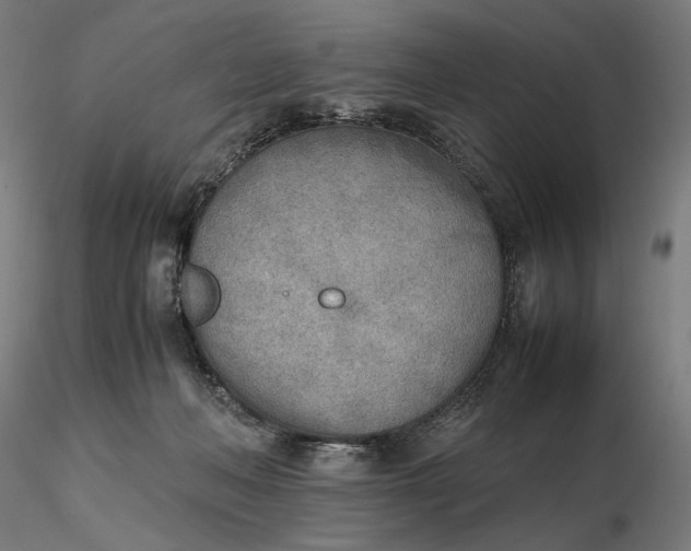 X0000116460222200912231407