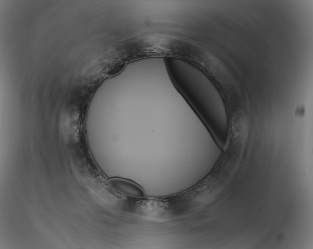 X0000116460223200912231407