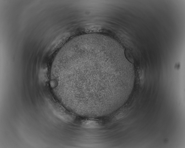 X0000116460224200912231407