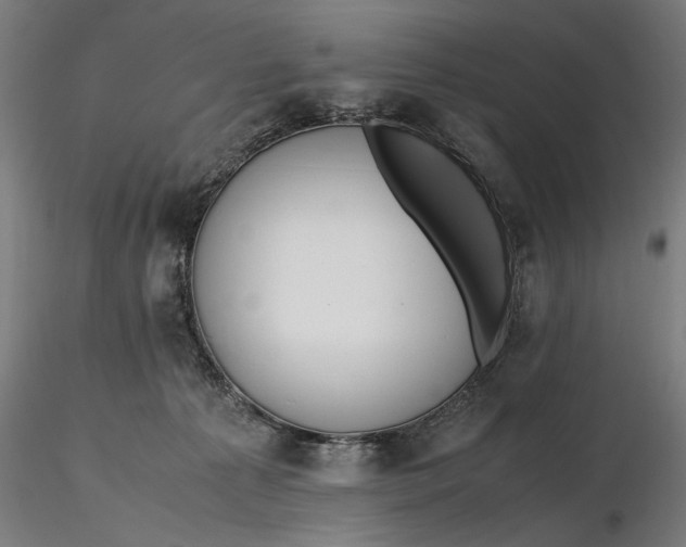 X0000116460225200912231407