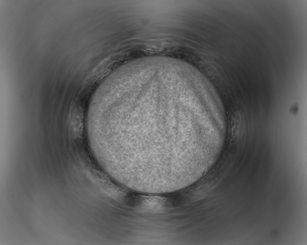 X0000116460226200912231407