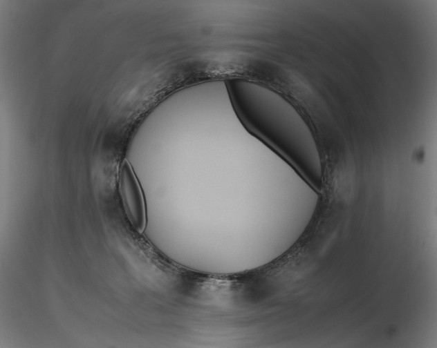 X0000116460227200912231407