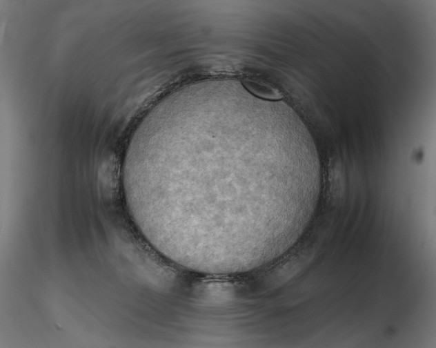 X0000116460228200912231407