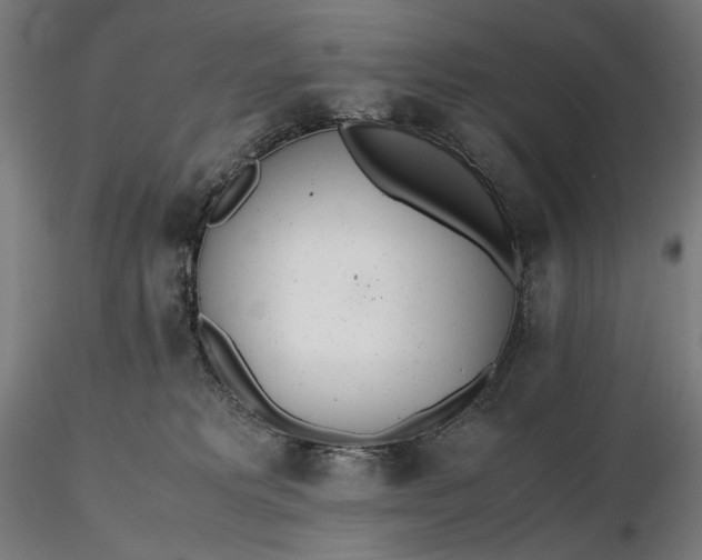 X0000116460229200912231407