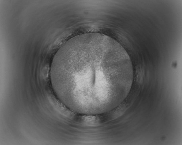 X0000116460230200912231407