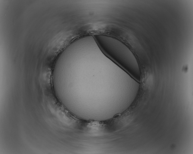 X0000116460231200912231407