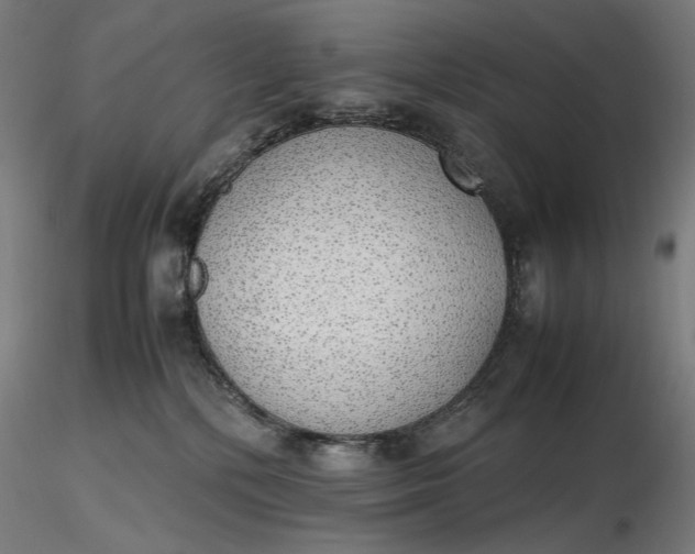 X0000116460232200912231407